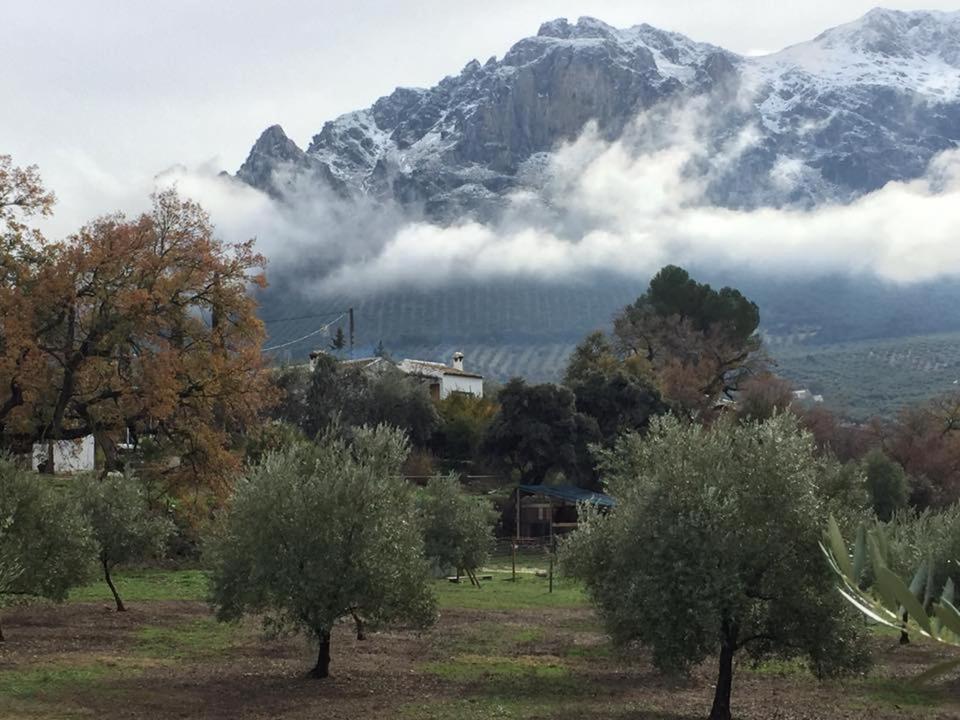 Posada Nina Margarita Priego de Córdoba Zewnętrze zdjęcie