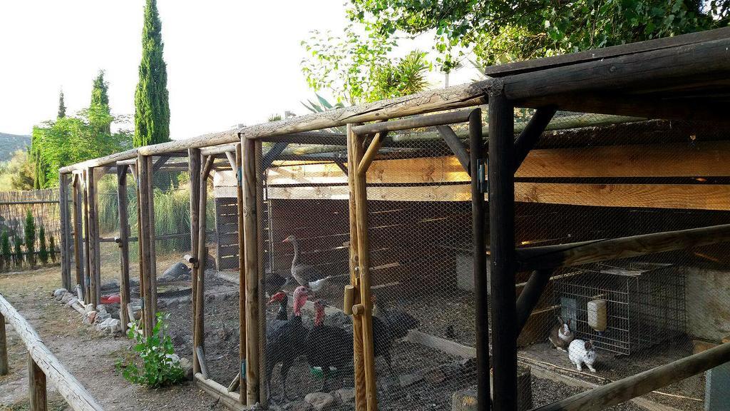 Posada Nina Margarita Priego de Córdoba Zewnętrze zdjęcie